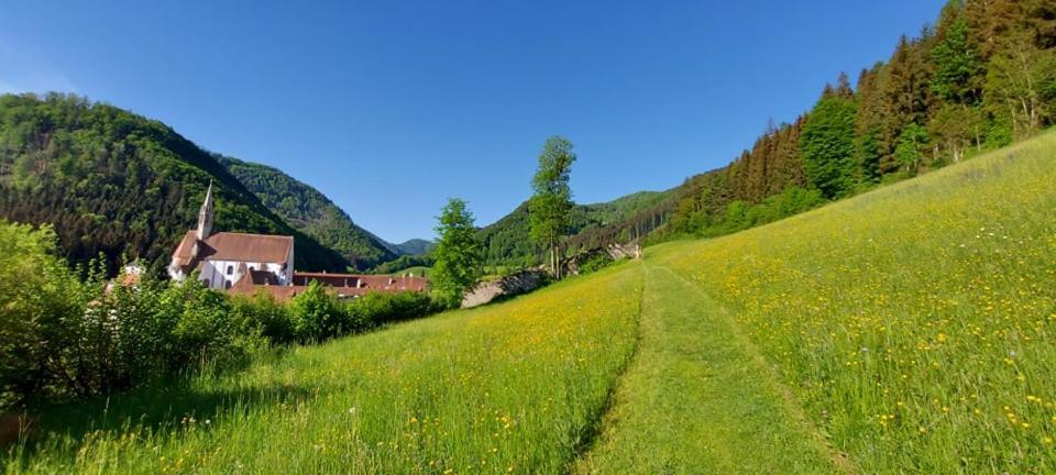 Ferienwohnung Bergspass Gaming Exterior foto
